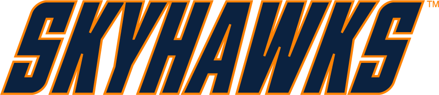 Tennessee-Martin Skyhawks 2007-2020 Wordmark Logo v2 diy iron on heat transfer